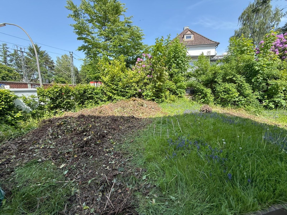 Rückschnitt in einer dicht bewachsenen Gartenfläche