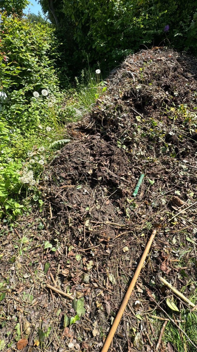 Detailaufnahme von gesammeltem Grün- und Strauchschnitt